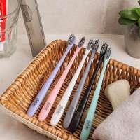 Eco-Friendly Wholesale Beihe  Plastic Portable Toothbrush with Spiral  Bristle in Travel Box